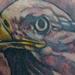 tattoo galleries/ - Eagle
